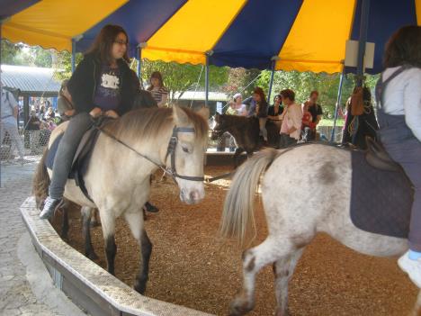Kinderzoo 037.jpg   31kb   26.03.2021 22:41:30